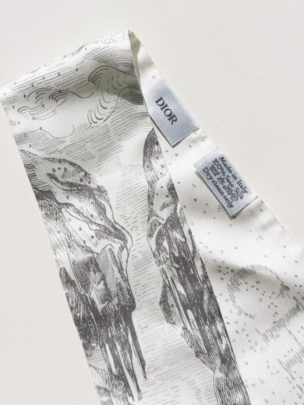 Dior ABCDior Hiver Mitzah Silk Twill Scarf